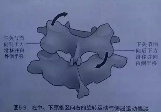 脖子一扭咔咔响怎么办,仰脖子颈椎咔咔响