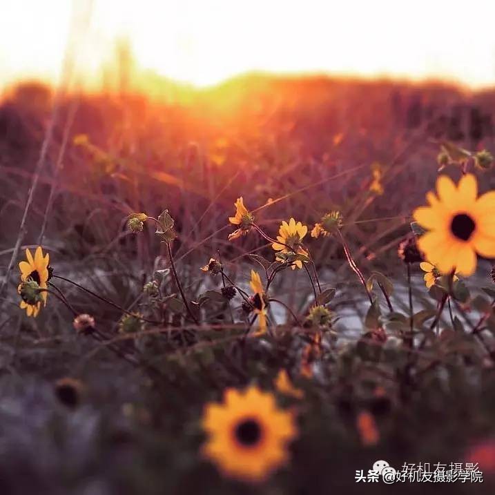 最简单的灯光技巧,简单有效灯光方案