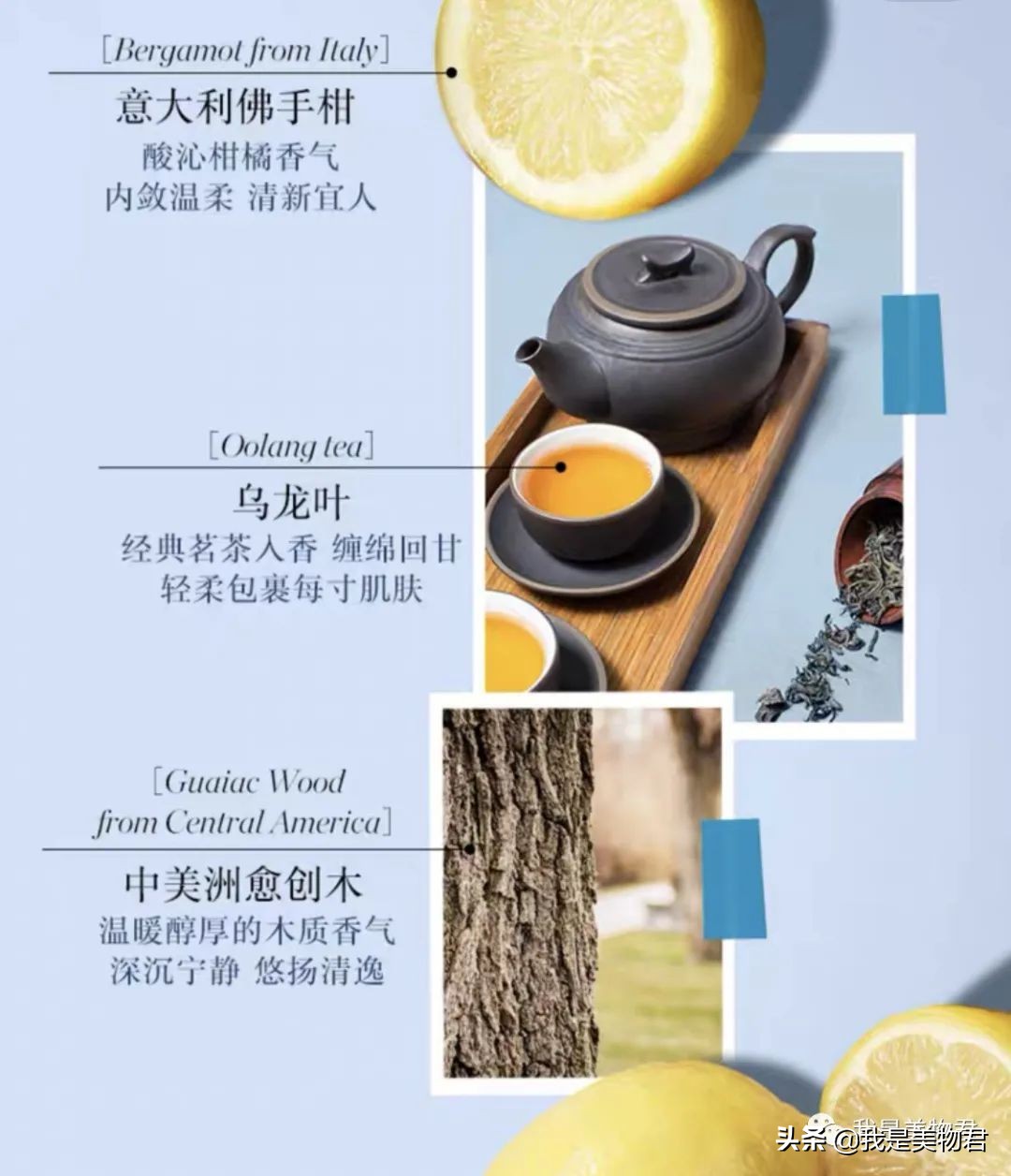 秋天香水橘香,秋季香水