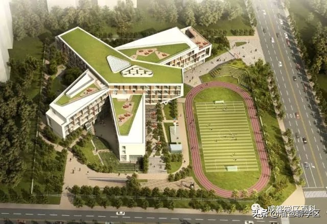 大源片区小学排名,高新区大源片区学校排名