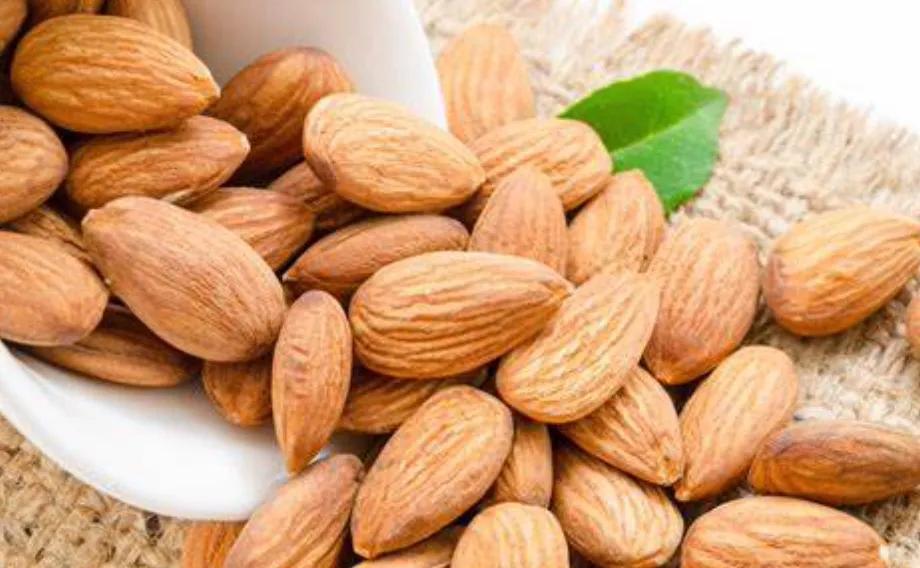 两株桃杏映篱斜猜生肖,两株桃杏映篱斜打一生肖