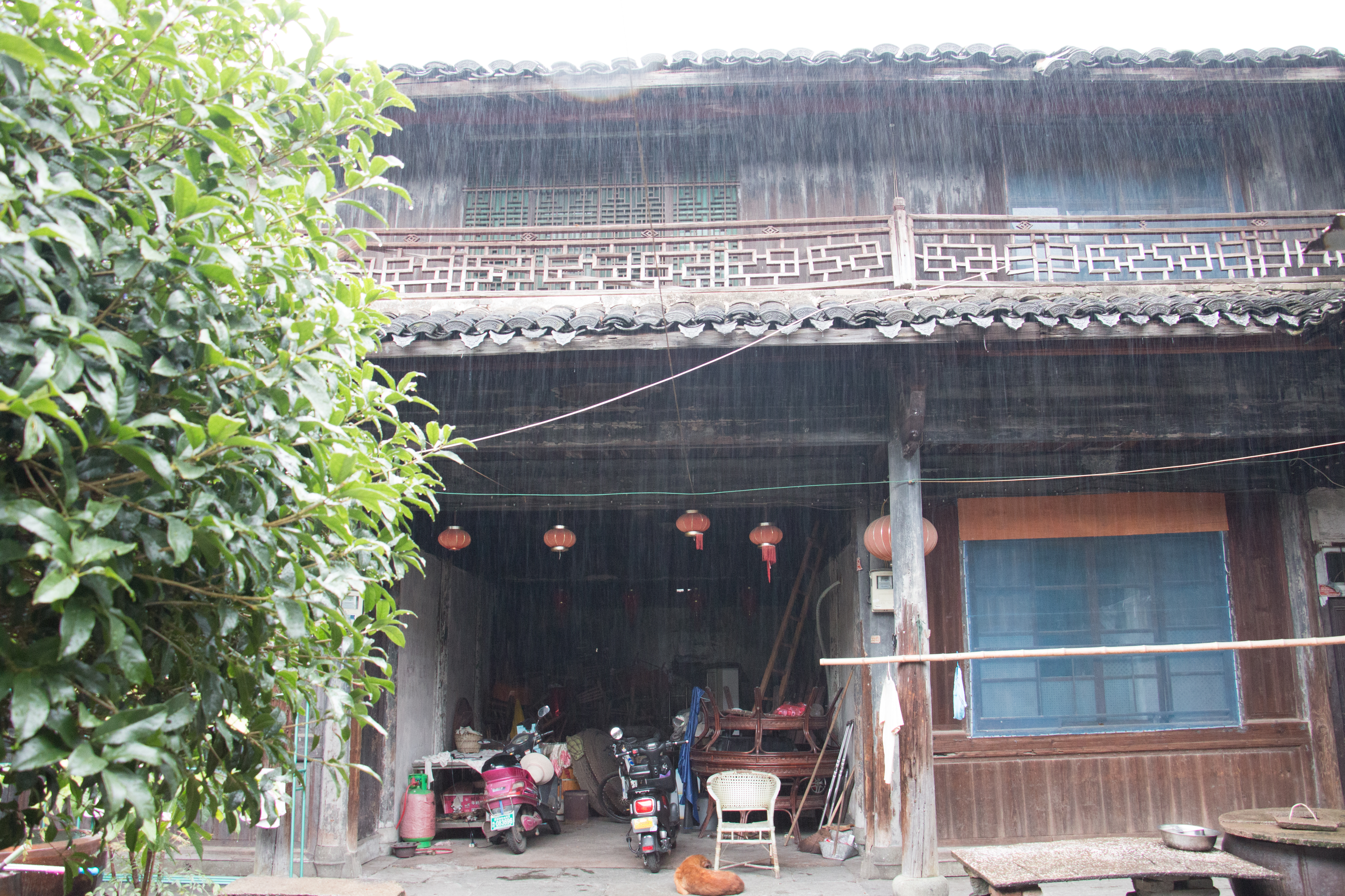 鹤皋古镇,鸣鹤古镇绕湖路