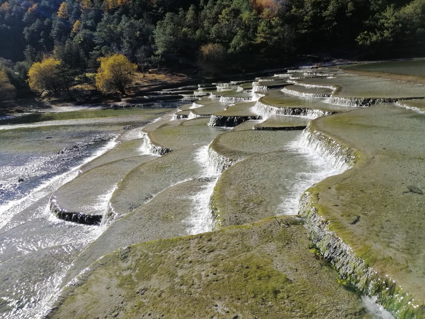 云南六日五晚免费游,云南五天四晚一人游