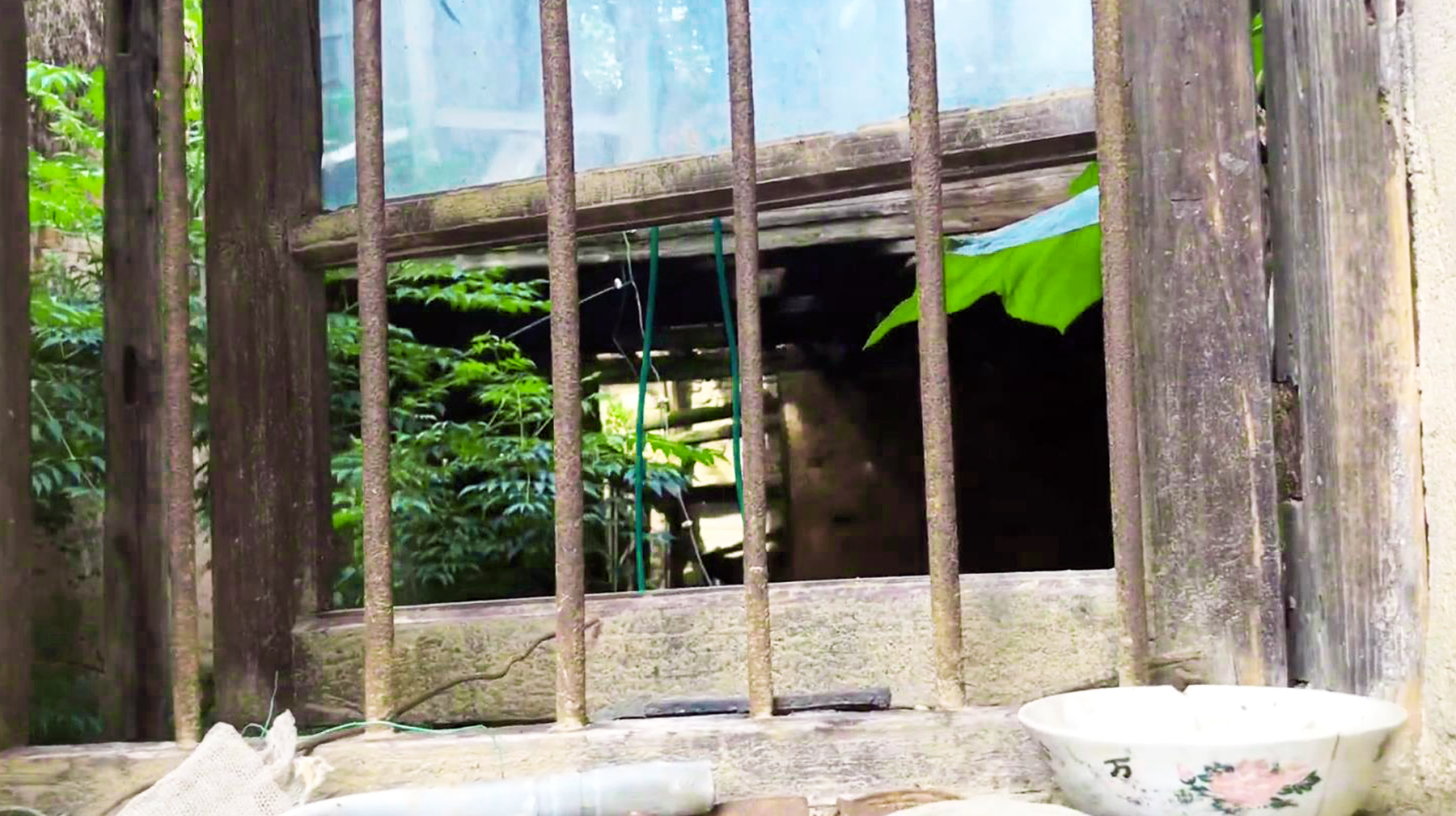 武汉周边最美古村一日游,旅游武汉这里藏着一座秘境森林