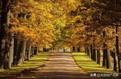 融创微风十里怎么样?以纯板公园大宅,打造乐居生活