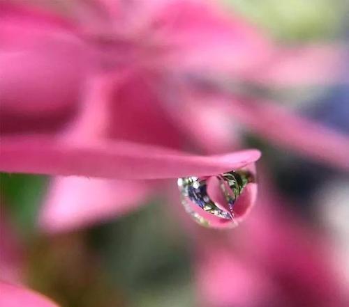 心里很苦的人要多少爱才能填满,心里很苦的人一点点就能甜吗