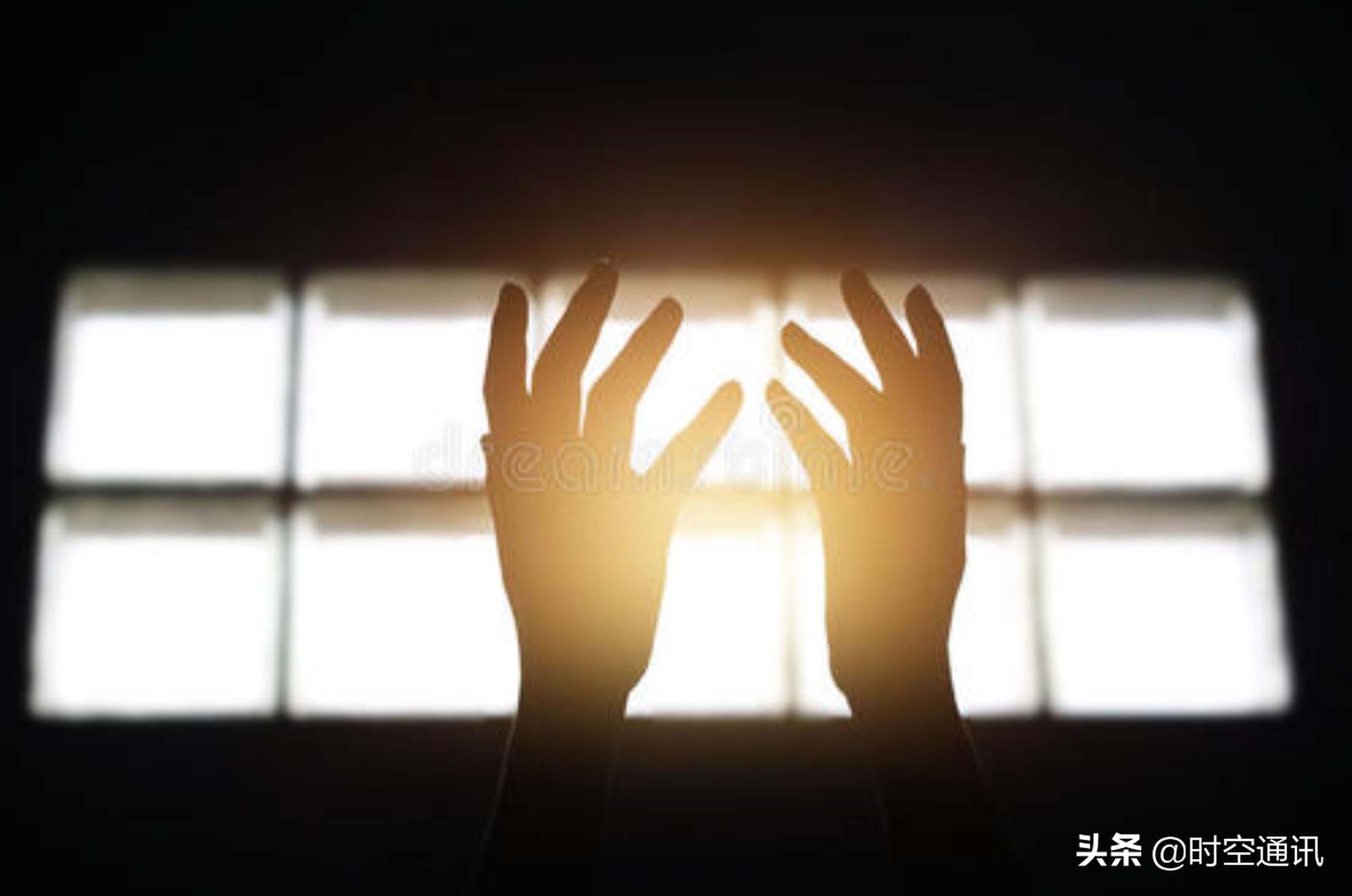 奇妙无比的光充满我们的世界，但天一黑它们都去哪儿了？