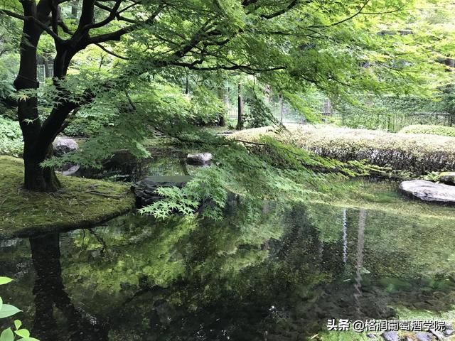 山崎白川威士忌区别,山崎威士忌介绍