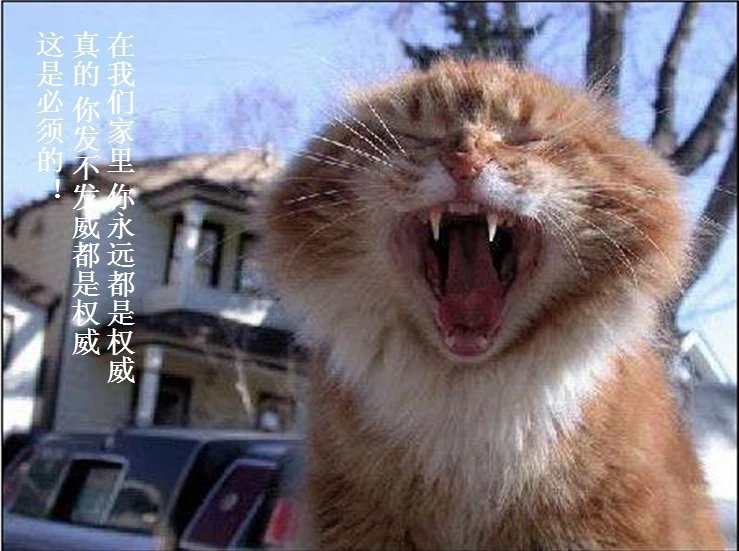 我只想说声爱你,只想再爱你一次