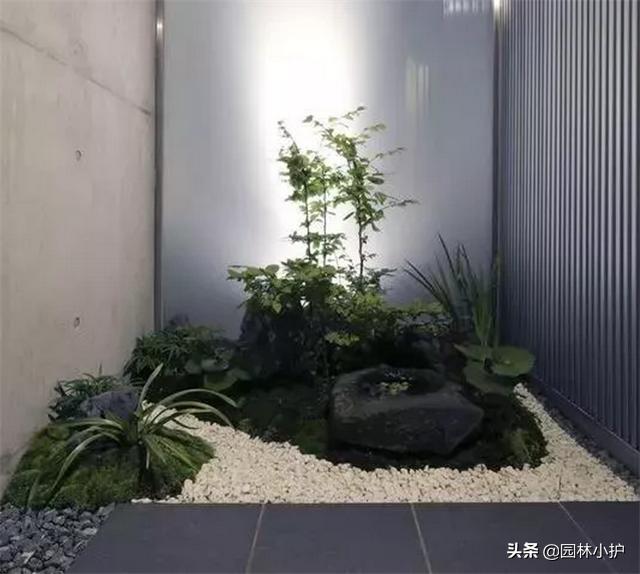 室内景观设计的基本步骤,极简风格室内小型景观设计