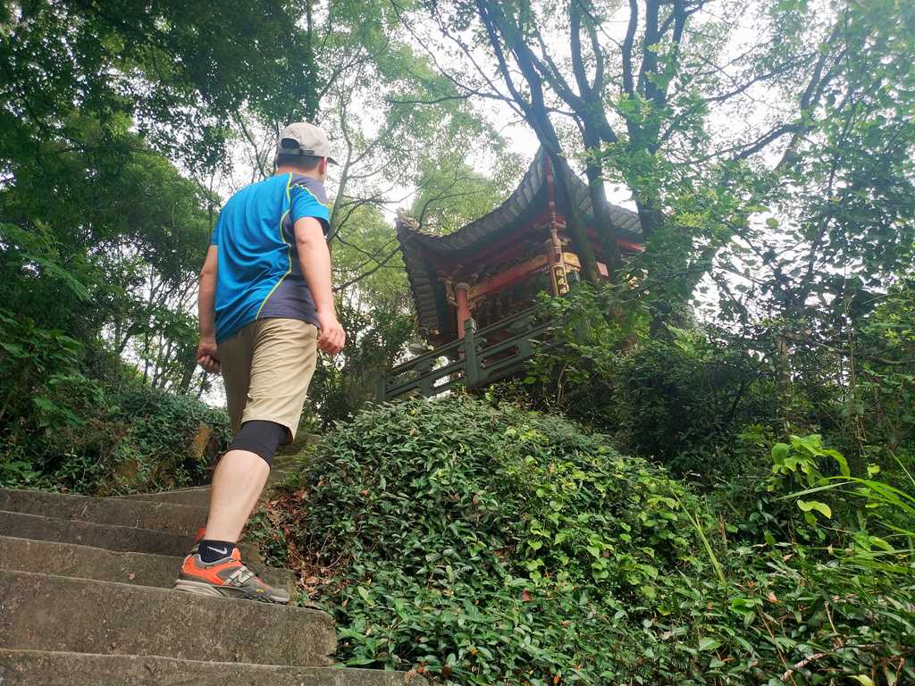 最佳口碑好护膝,高颜值运动护膝推荐