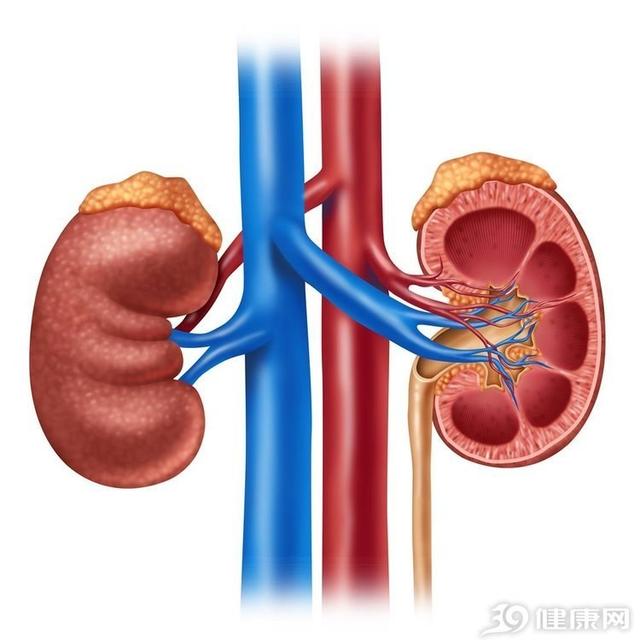 盐吃一勺会怎么样,盐吃多了会一条小腿肿