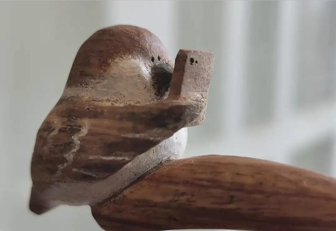 入木三分真功夫,入木三分让我懂得了什么