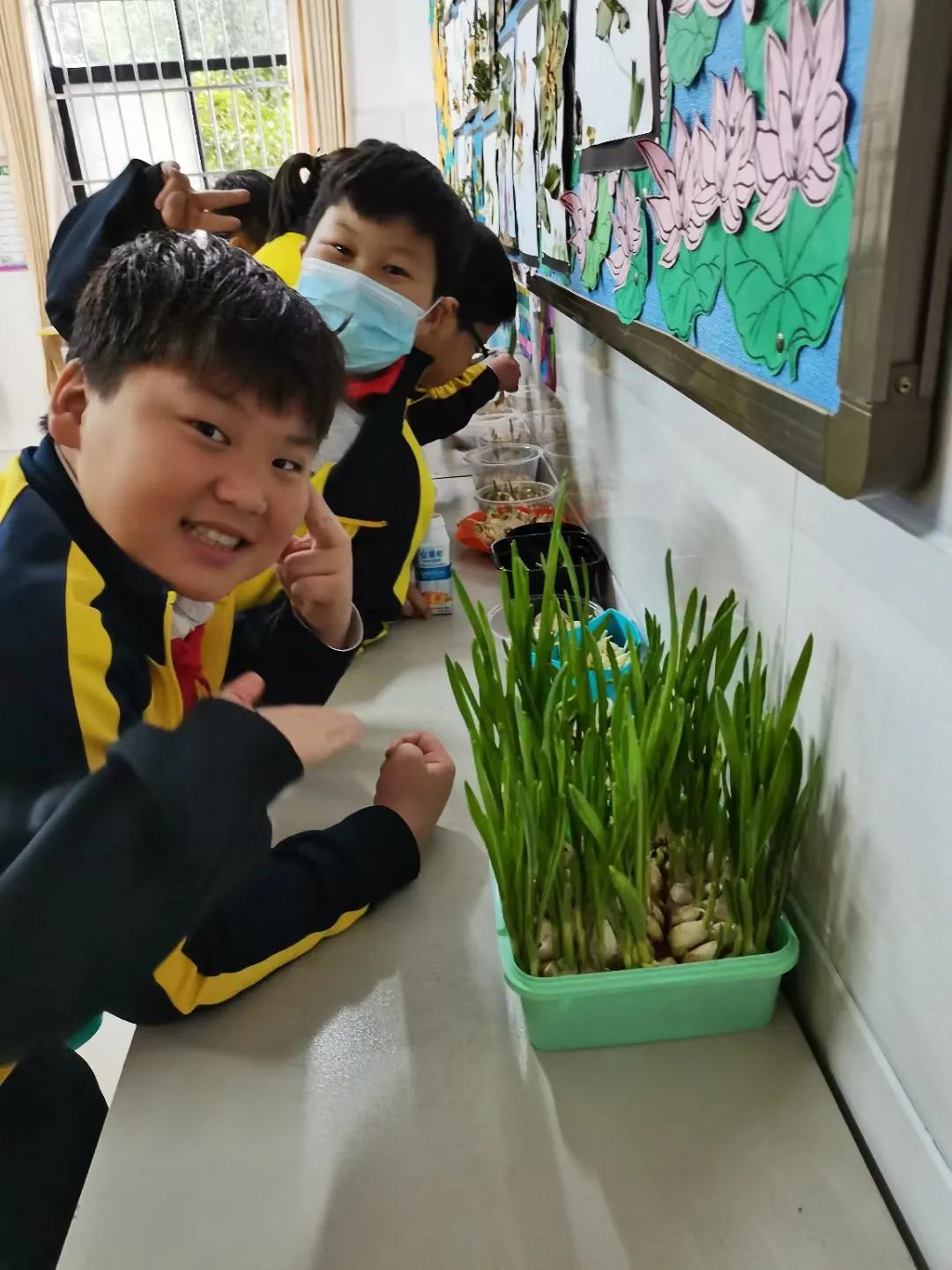 商丘市工学院附属兴华学校六年级,商丘兴华学校2024毕业班优秀学生