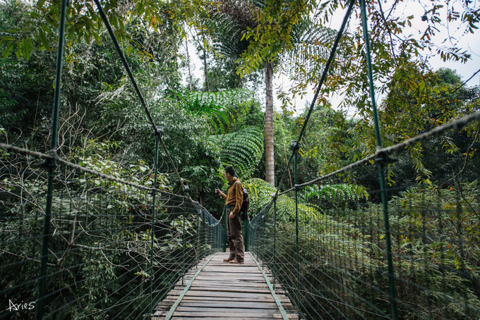 博悦旅游,云南西双版纳博悦