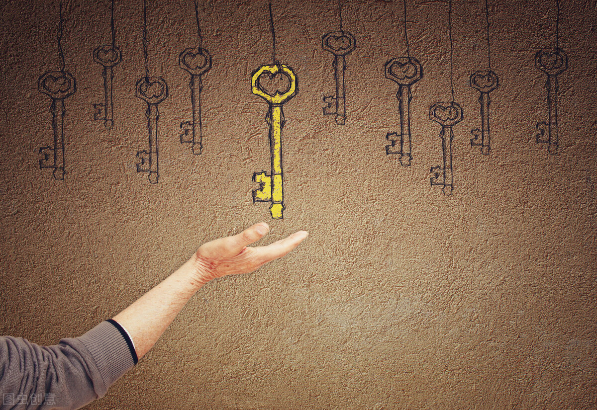 龙儿网络日记：我是如何获取流量的,七