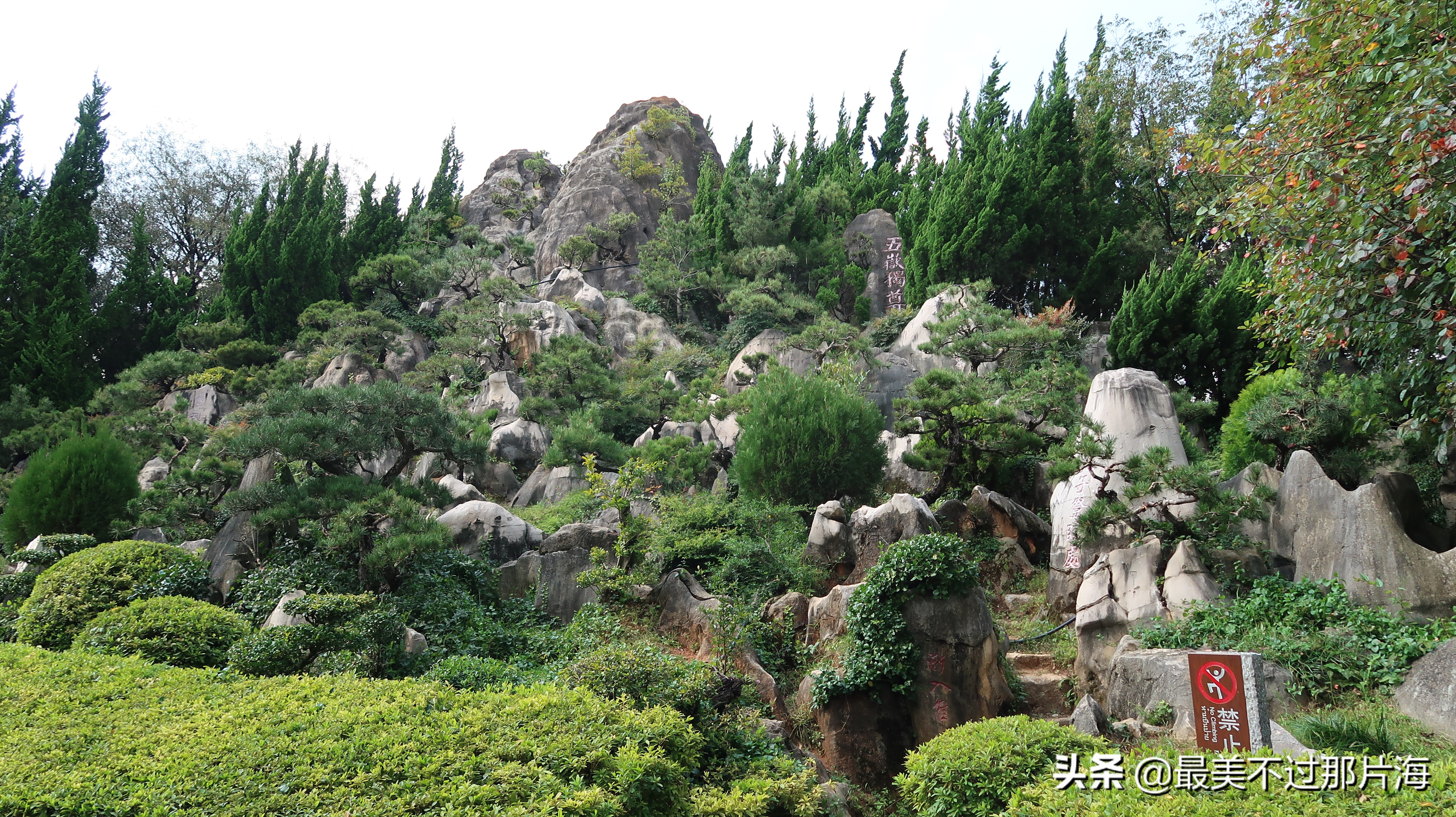 昆明世博园和云南大观园游玩攻略,昆明有个世博园四季如春好地方