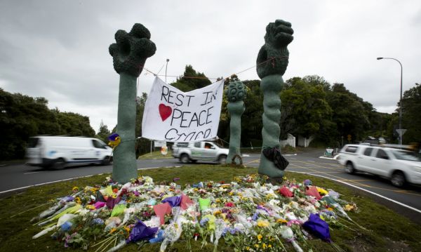 新西兰女孩被杀原因,2010新西兰女留学生被杀