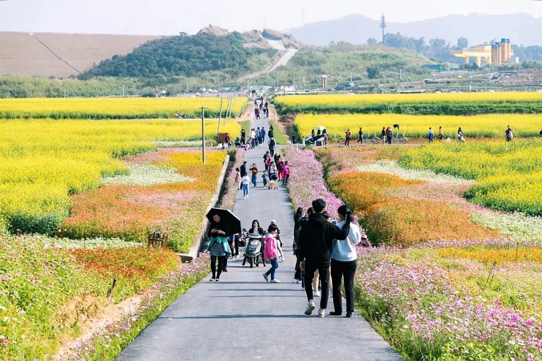 去深圳免费游玩的10个地方,深圳免费游玩景点推荐