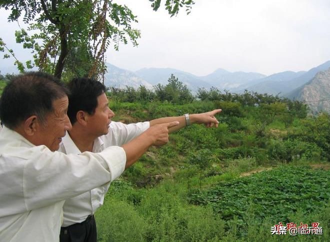 沂蒙飞鹰！一路走好！沂蒙山最后的老八路离世