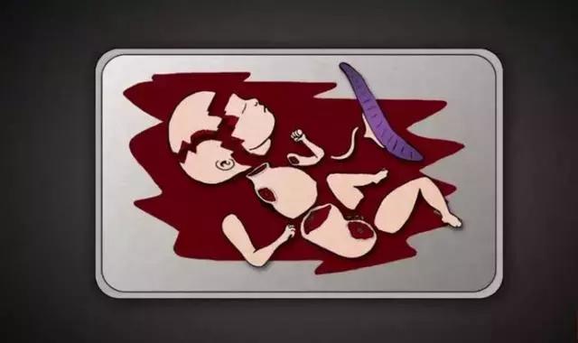 丁嘉丽明星的故事,丁嘉丽央视