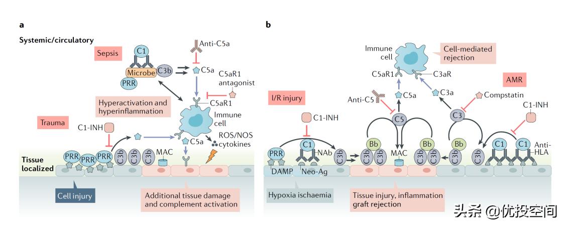 优投·专访康普美特董事长兼CEO徐海：做中国的世界级补体科技企业