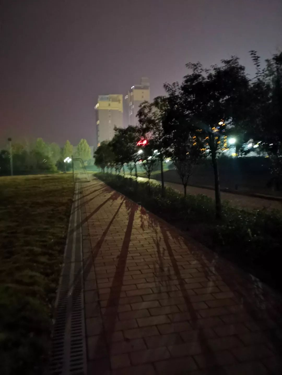 郏县体育场有啥玩的,郏县鸟巢体育馆