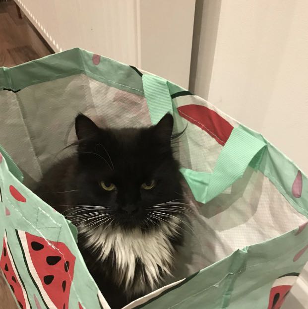 新冠病毒国外怎么防控,新冠病毒国外防控