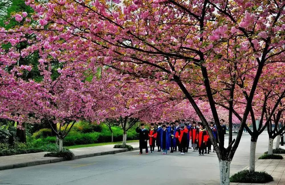 石家庄市河北科技大学,河北石家庄科技大学