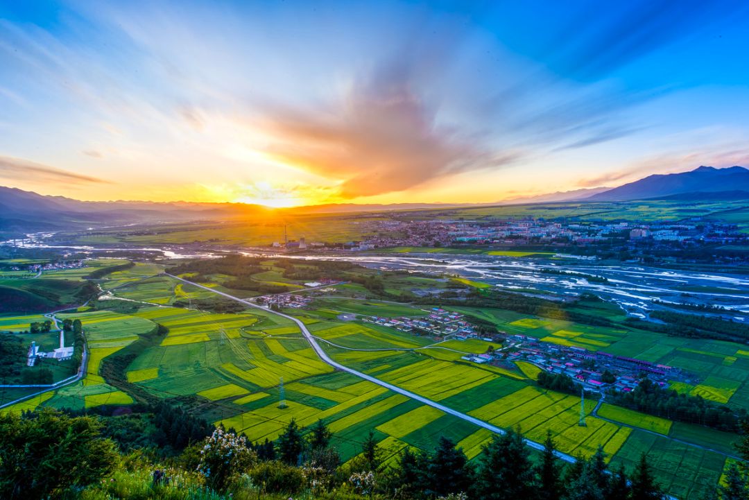 戴口罩的冬天太漫长，差点忘了中国的春天有多美