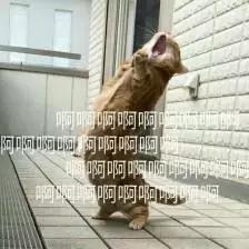 外国人看三国关羽震撼视频,三国关羽外国人看的反应