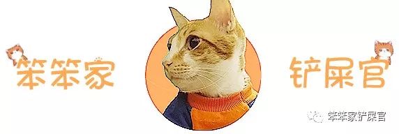 猫为什么会喜欢咬人手,猫为啥舔人手指舔着舔着就咬