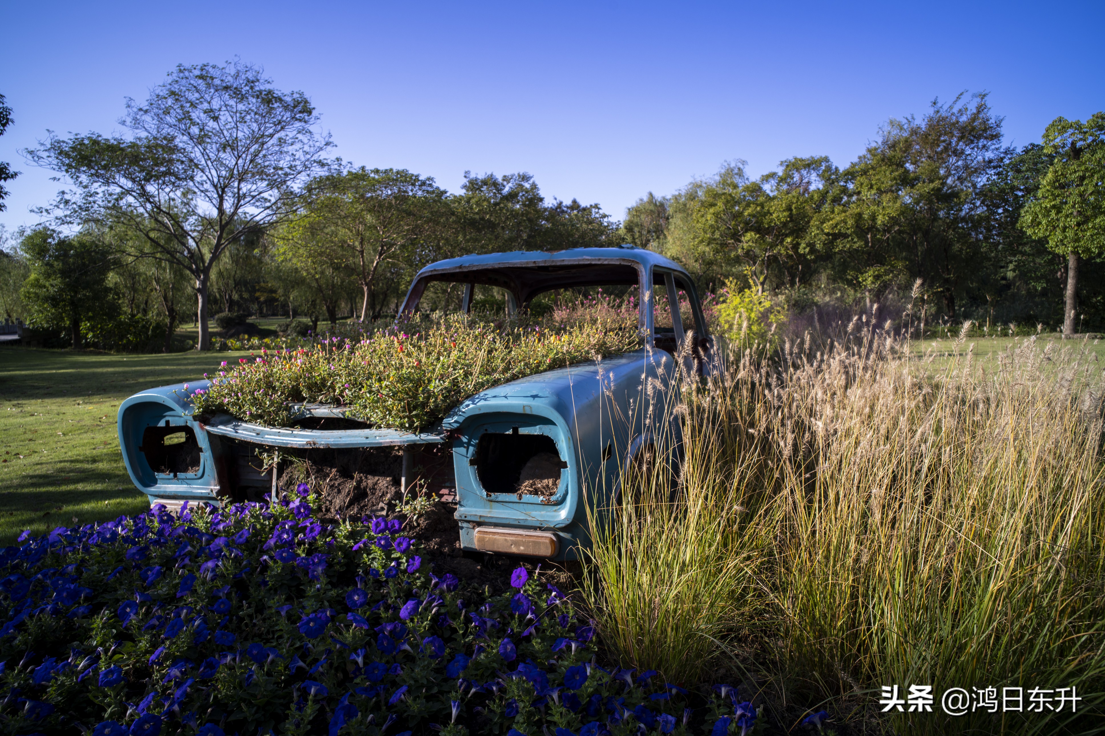 上海打拼的真实感受,在上海打拼是件很不容易的事