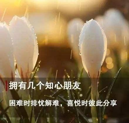 适合发朋友圈的22条心灵鸡汤语录,2019心灵鸡汤霸气语录