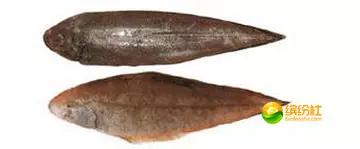 舟山海鲜攻略2天3晚吃什么,舟山海鲜代加工攻略