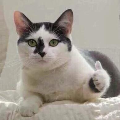 心态崩了怎么办最简单的方法,心态崩了该如何重新开始