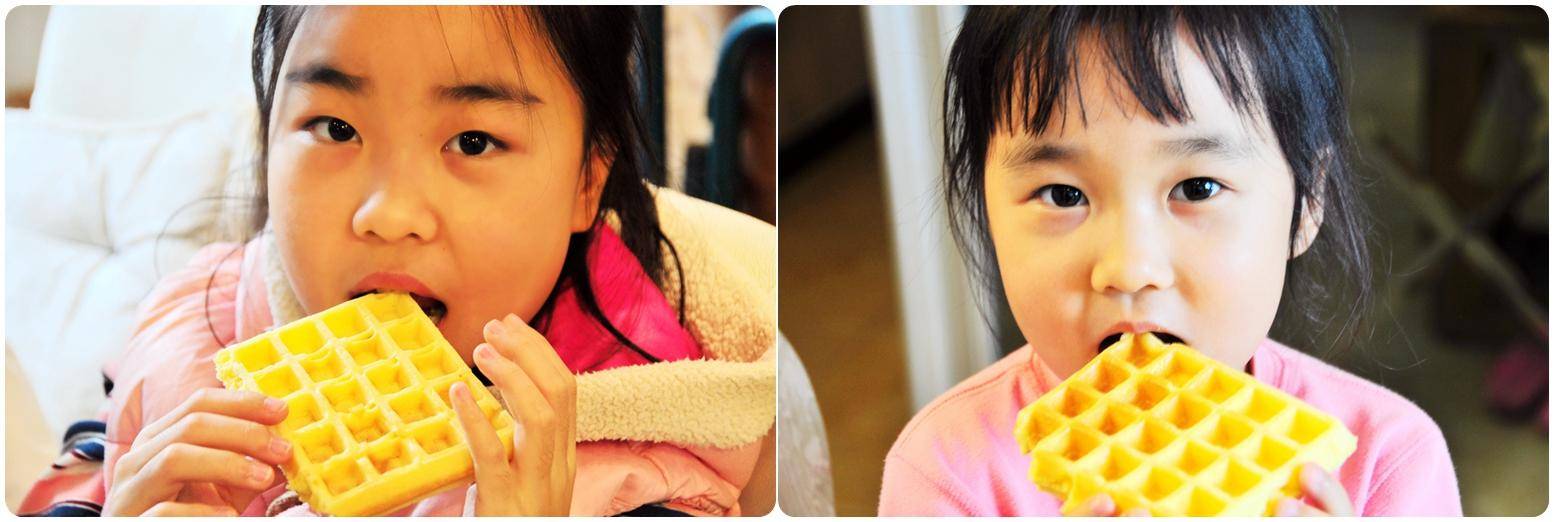 给神兽准备开学用品,神兽开学必备神器