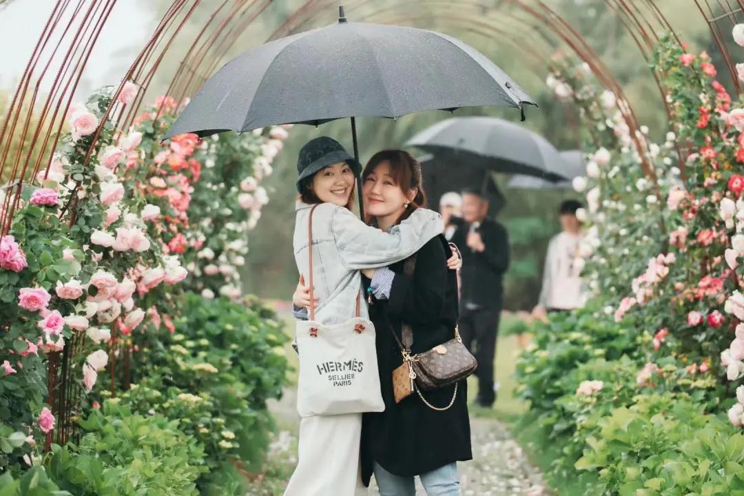 美到犯规！这个500亩的有机庄园，成三产融合教科书