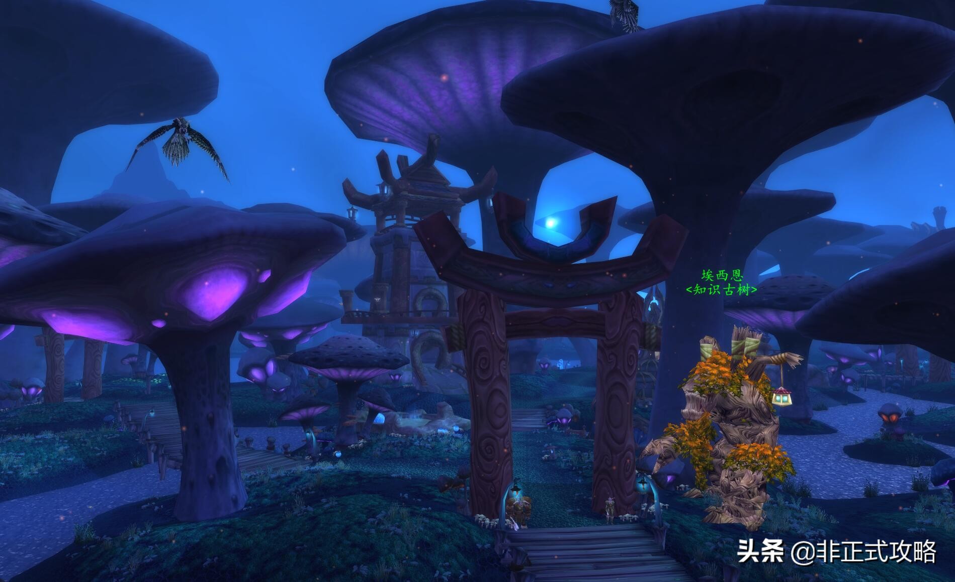 魔兽怀旧服tbc25个日常任务,魔兽怀旧服tbc黑暗沼泽boss掉落