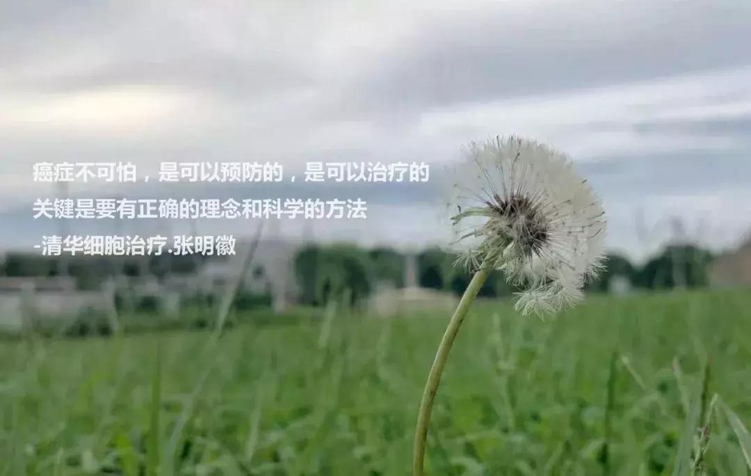 nkt免疫治疗哪些癌症,nkt癌症新疗法