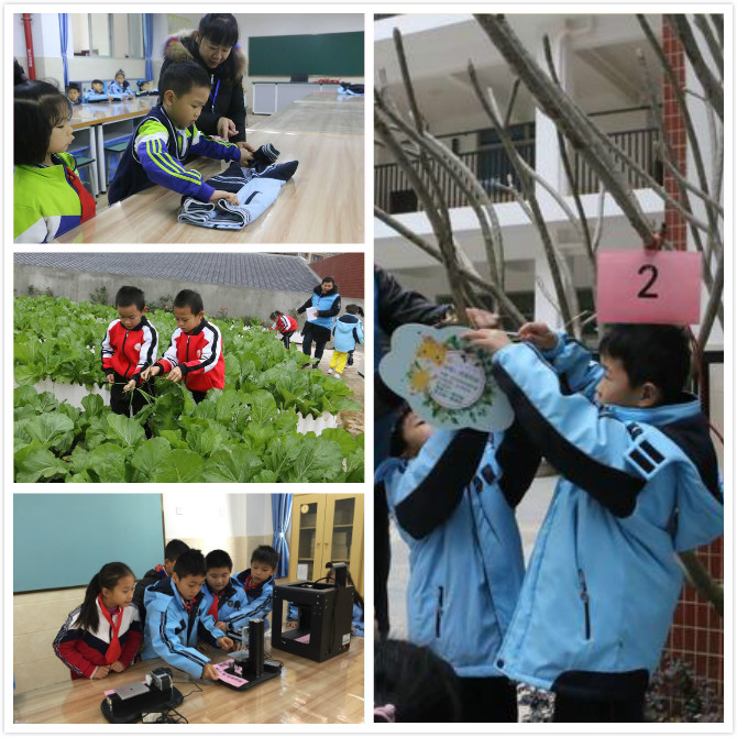 扬帆起航追求卓越,追求卓越锐意进取