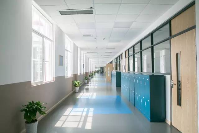 武汉最难进的9所高中,武汉最难进的学校