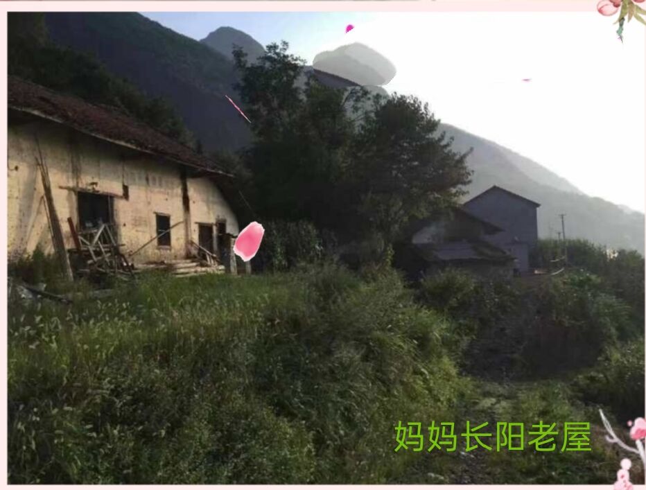 父母恋爱时的情书,当你翻出父母的情书