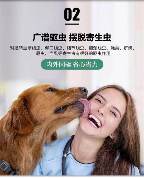 狗狗驱虫药怎么选?雷米高伊维菌素片助你一步到位