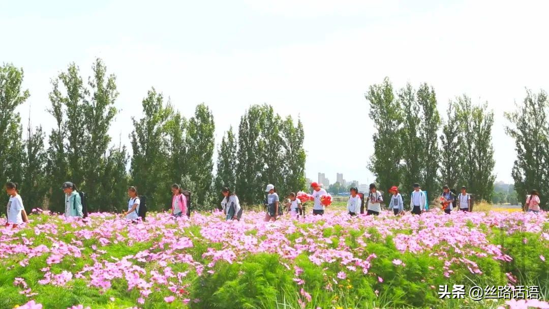 春暖花开等你来赏花,春暖花开等你来赏花原唱视频