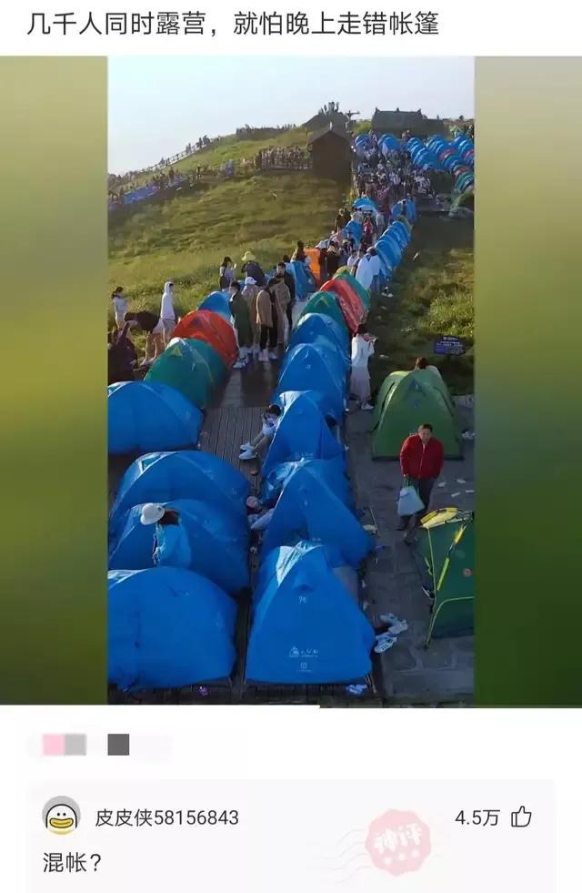 神回复下半句,神回复煮东西