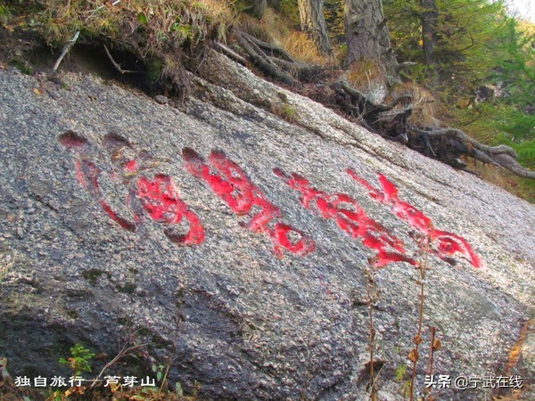 宁武芦芽山悬崖栈道,太原出发芦芽山马仑草原自驾路线
