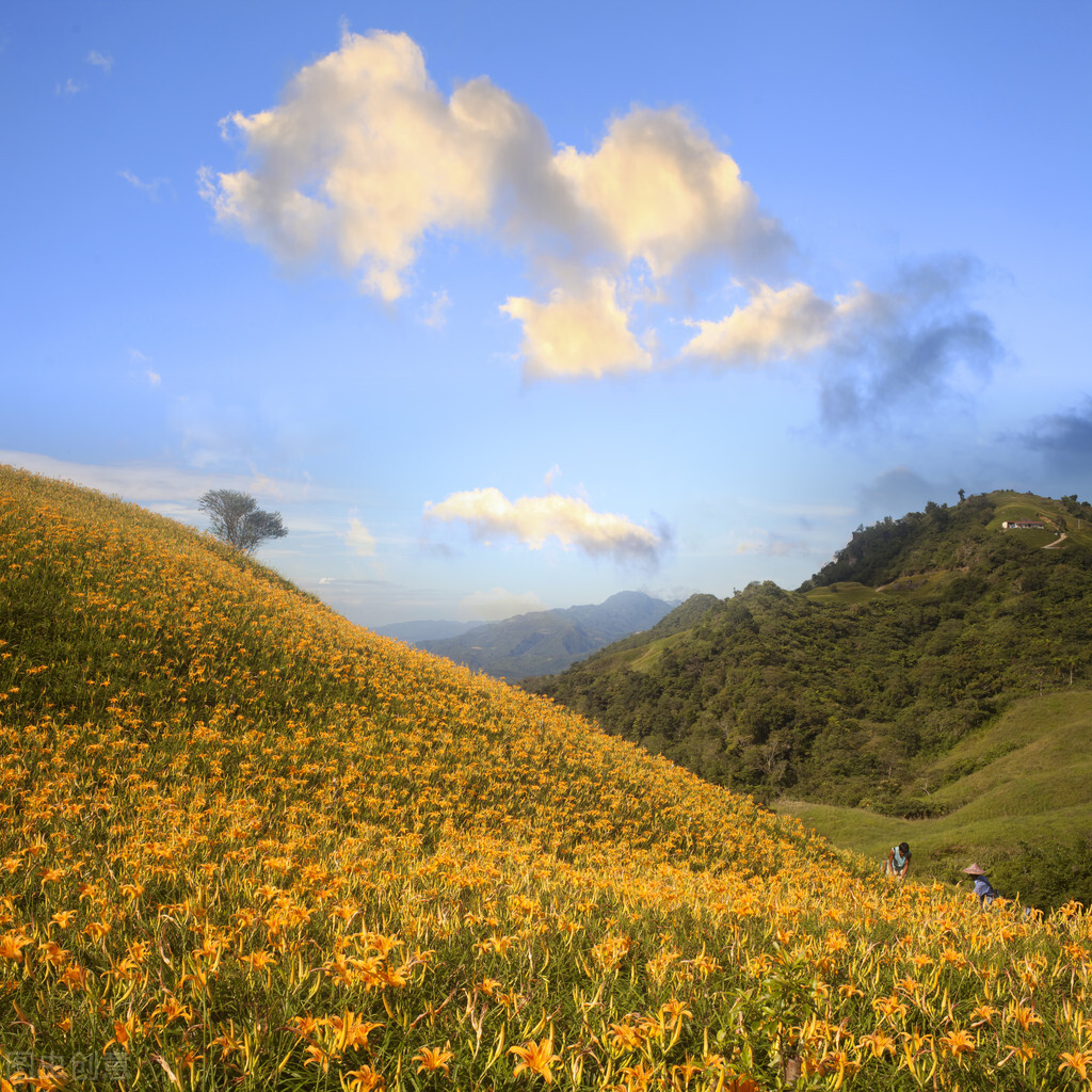 浜烘枃鍦扮悊璧拌繘鍙版咕,鍙版咕涔℃剚鍦板浘