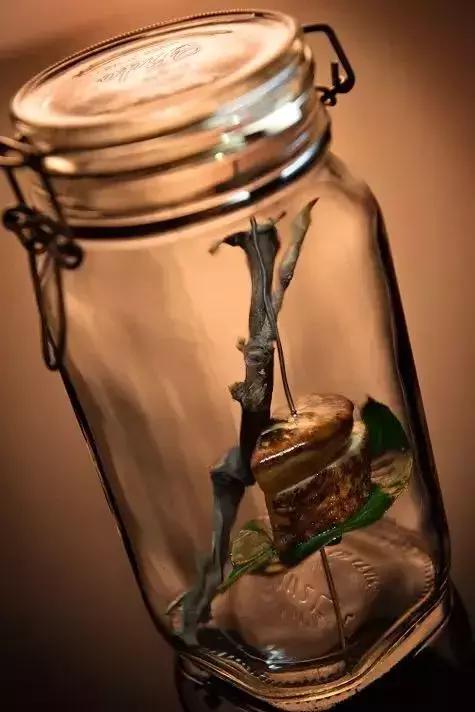 在上海最高的餐厅吃饭需要多少钱,上海最贵的餐厅吃一顿花多少