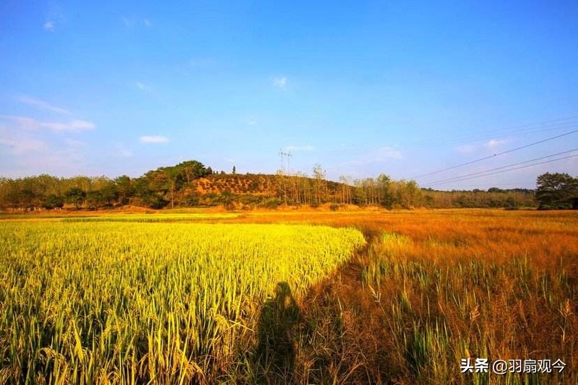 湖南方言不同之处,有趣的湖南方言